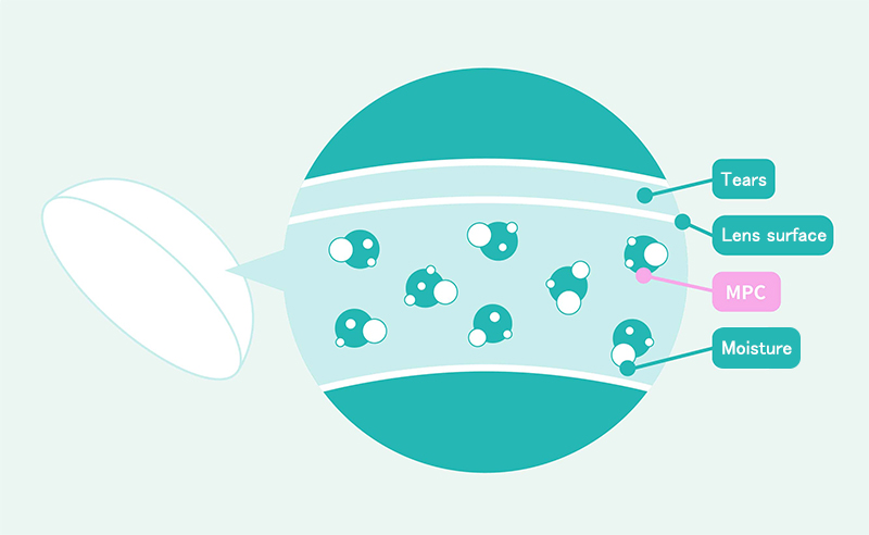 Infographic informing audience of MPC