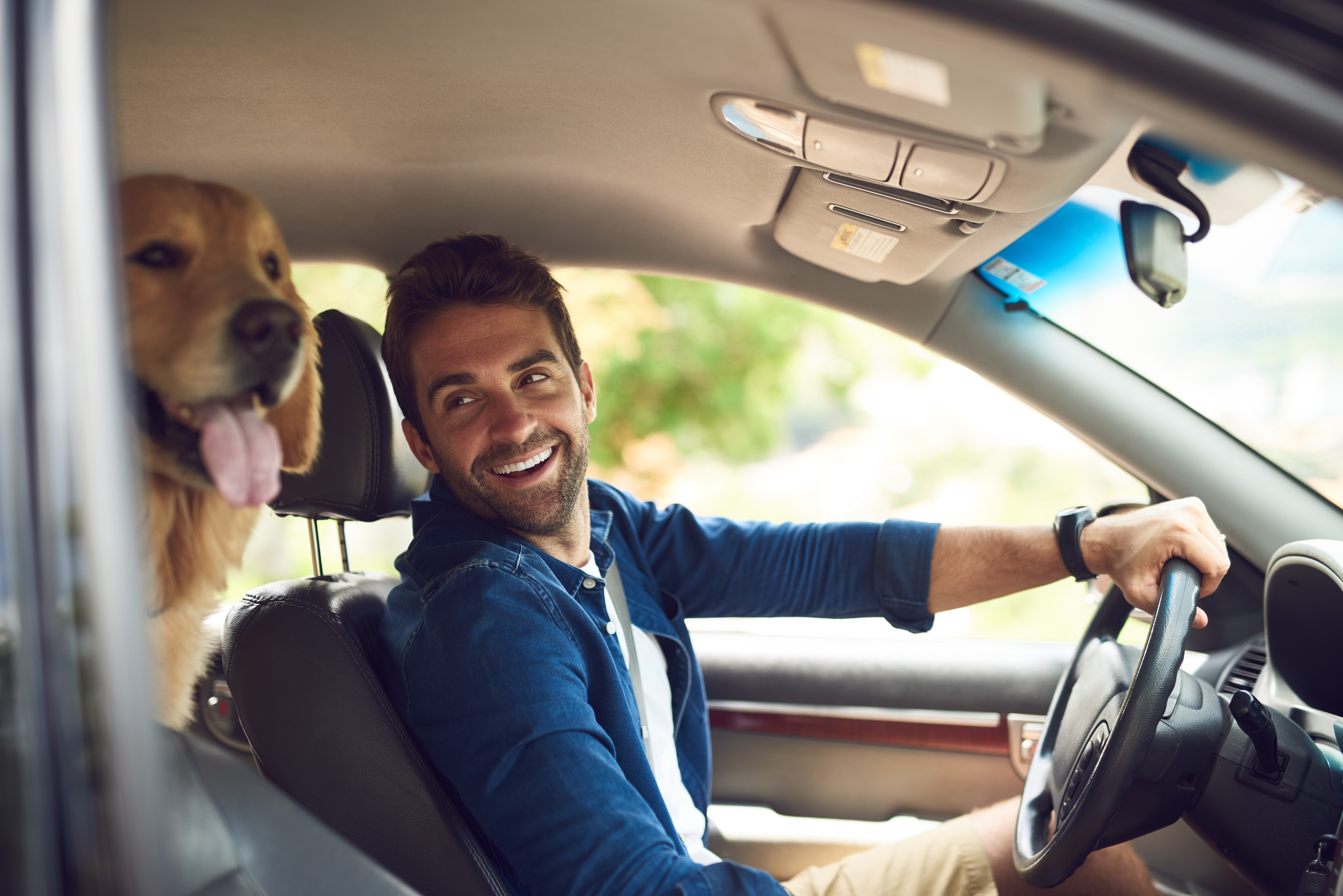 Man driving his car with dog in back seat.