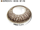 BROWN BIG EYE