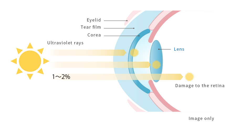 04 Protect The Eyes From Ultraviolet Rays